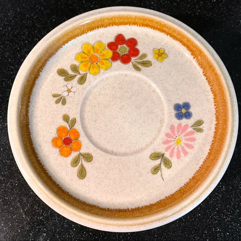 10 Pc Mikasa Stone Manor Vintage Floral Tea Plates